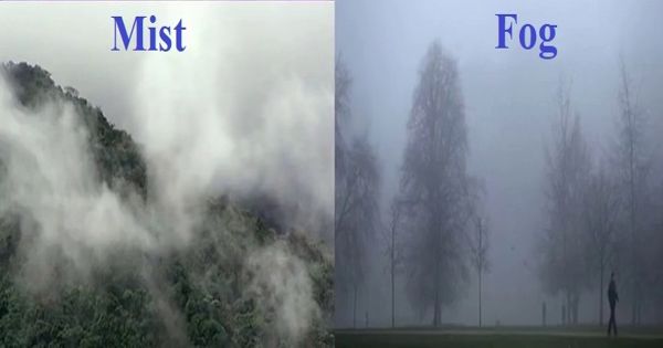 Difference Between Fog And Mist Assignment Point