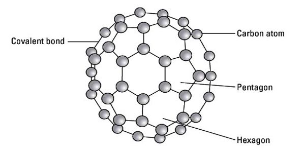 Fullerene An Allotrope Of Carbon Assignment Point