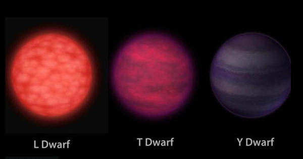 Astronomers reported the three fastest-spinning brown dwarfs ever found