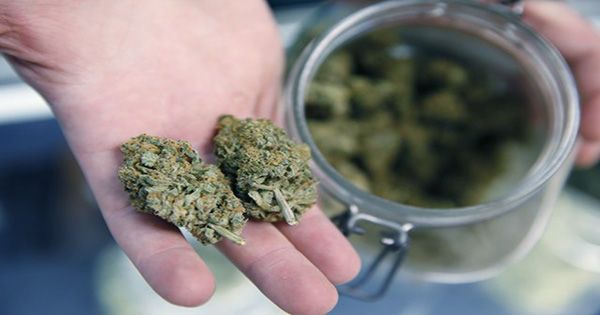 Malta Becomes First European Country to Legalize Cannabis for Personal Use