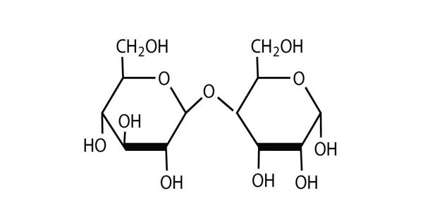 Disaccharide – a sugar composed of two monosaccharides