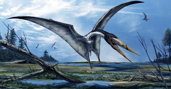 Pterosaurs with Necks like Giraffes Survived Flight Thanks To Spoke-Like Vertebrae