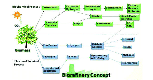Biorefining – a petroleum refinery