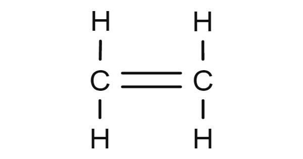 Ethylene - a hydrocarbon - Assignment Point