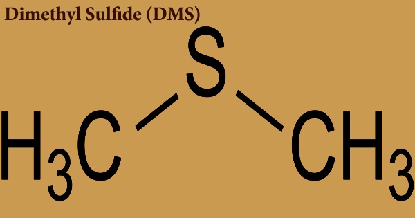 Dimethyl sulfide (DMS)