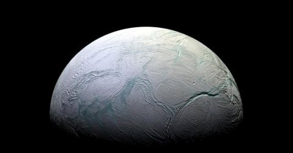 New Research Predicted Signs of Life on Saturn’s Moon Enceladus