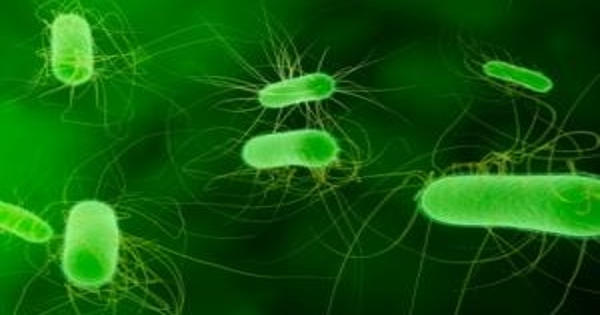 Researchers Identify the Rise of Antibiotic Resistance in E. coli