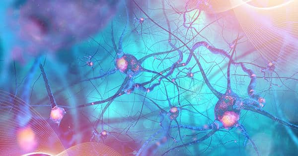 Researchers Investigate Tangles in Brain for Alzheimer’s and Neurodegenerative Disease