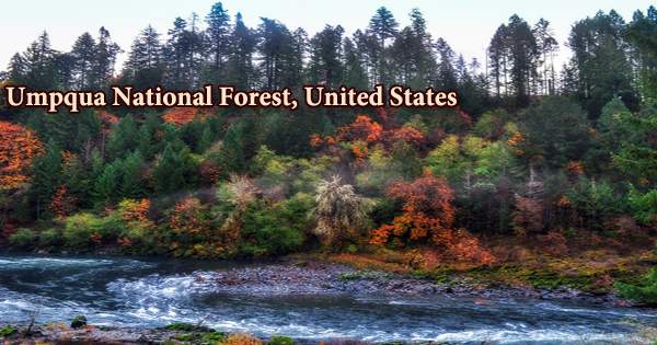 Umpqua National Forest, United States