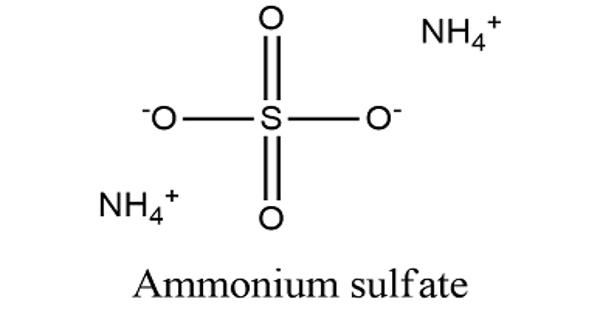 Ammonium Sulfate – an Inorganic Sulfate Salt