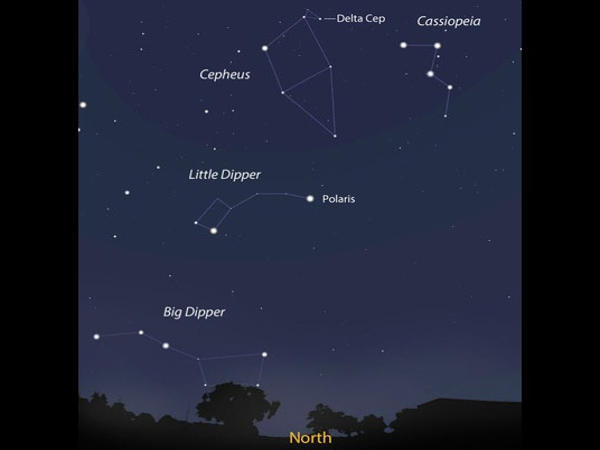 Delta Cephei A Binary Star System Assignment Point