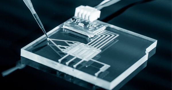 Lab-on-a-Chip – a Miniaturized Device