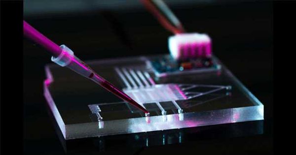 Microfluidics – an Indispensable Tool for Quantitative Analyses