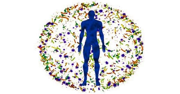 Gut Microbiome in the Digestive Tract is linked with Various Health Conditions