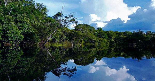 Indigenous Peoples have Helped the Amazon Stay Wild for 5,000 Years