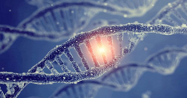 Researchers Discovered a key aspect of Gene Regulation and Gene’s Controlling Region