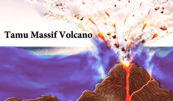 Tamu Massif Volcano