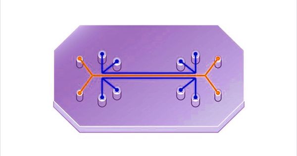 Organ-on-a-Chip – a Multi-channel 3-D Microfluidic Cell Culture Chip