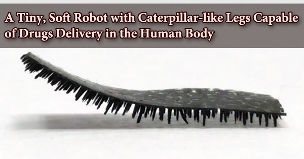 A Tiny, Soft Robot with Caterpillar-like Legs Capable of Drugs Delivery in the Human Body