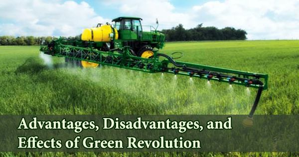 Advantages, Disadvantages, and Effects of Green Revolution
