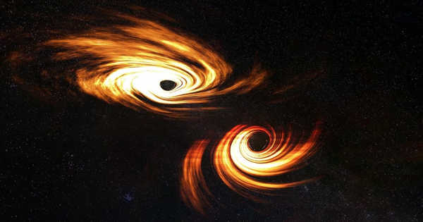 Binary Black Holes' Light-bending Dance - Assignment Point