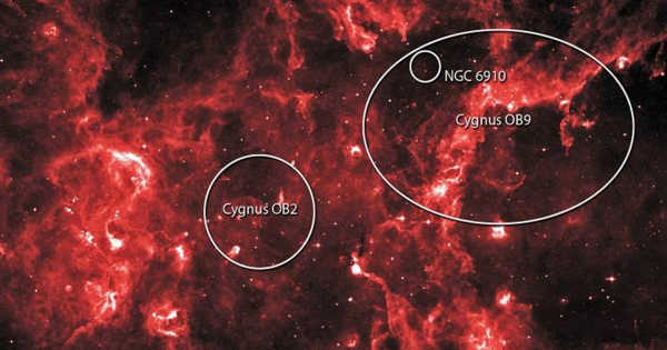 Cygnus OB2 – a Large Young Cluster of Stars in the Constellation of Cygnus