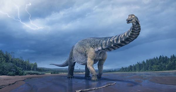 Early Dinosaur didn’t Breathe Like Birds, or Us, Study Finds