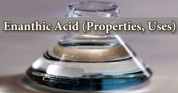 Enanthic Acid (Properties, Uses)