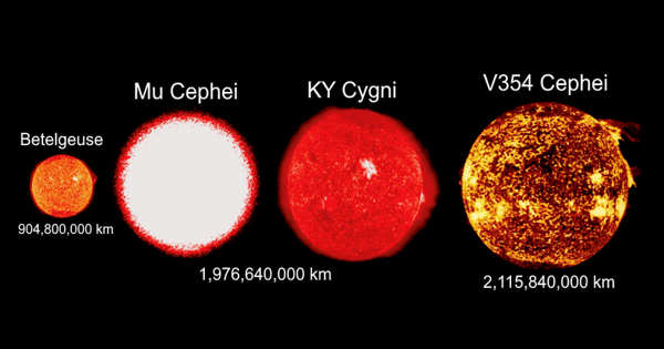 KY Cygni – a Red Star in the Cygnus Constellation