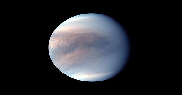 Life More Likely to Exist in the Clouds of Jupiter than Venus