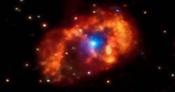Luminous Blue Variables – Massive Evolved Stars