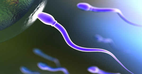 Male Infertility could be Diagnosed with the help of Newly Discovered Sperm Movement