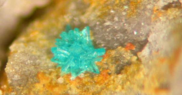 Nissonite: Properties and Occurrences