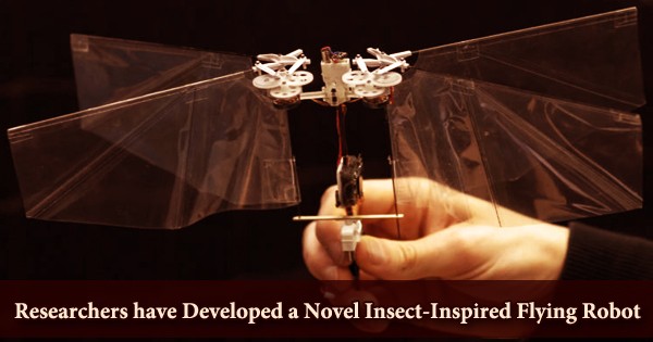 Researchers have Developed a Novel Insect-Inspired Flying Robot