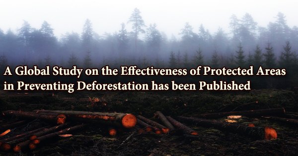 A Global Study on the Effectiveness of Protected Areas in Preventing Deforestation has been Published