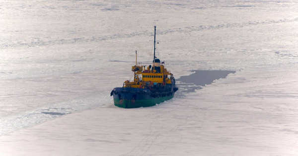 Arctic Shipping that isn’t Sustainable Risks Worsening the Environment in the Arctic