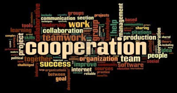 Different Kinds of Cooperative Strategies among Humans Develop
