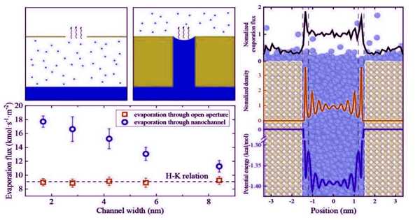 Enhanced Evaporation Mechanisms through Nanochannels