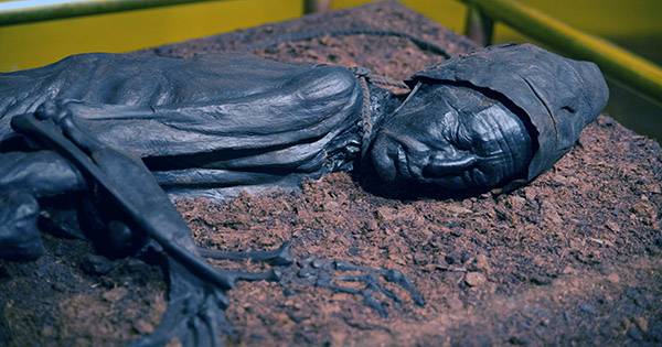 Guts Reveal the Last Meal of Incredibly Preserved Bog Body from 2,400 Years Ago