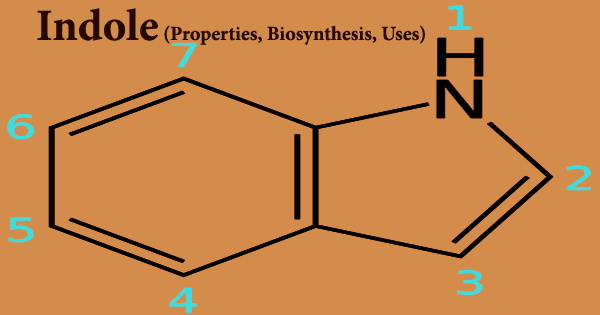 Indole (Properties, Biosynthesis, Uses)