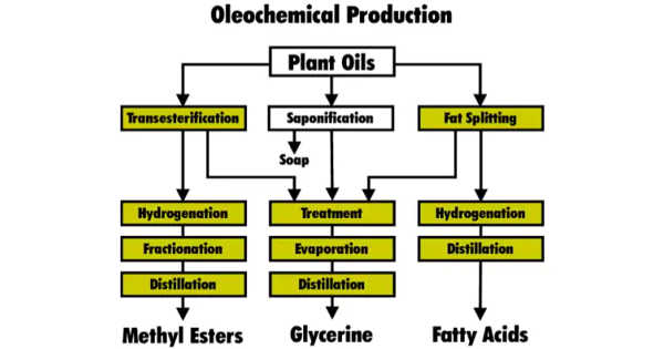 Oleochemistry – a Study of Vegetable Oils and Animal Oils