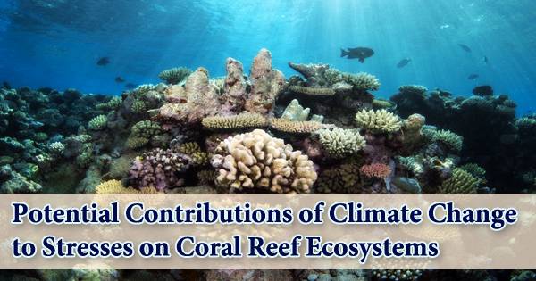 Potential Contributions of Climate Change to Stresses on Coral Reef Ecosystems