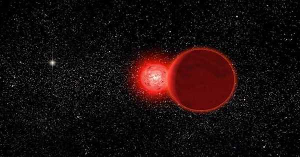 Scholz’s Star – a Binary Stellar System in the Constellation Monoceros