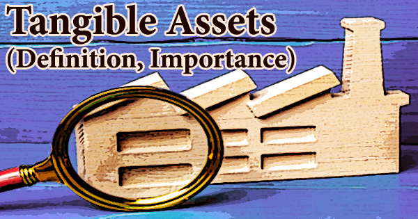 Tangible Assets (Definition, Importance)