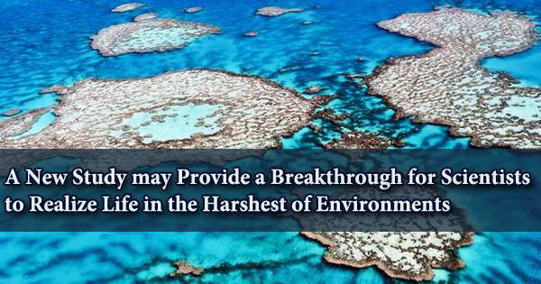 A New Study may Provide a Breakthrough for Scientists to Realize Life in the Harshest of Environments