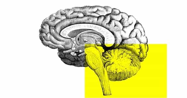 A Region of Brain Stem may Mediate Religiosity and Spirituality in Humans