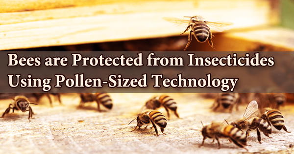 Bees are Protected from Insecticides Using Pollen-Sized Technology