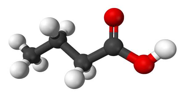Butyric Acid – a Straight-chain Alkyl Carboxylic Acid