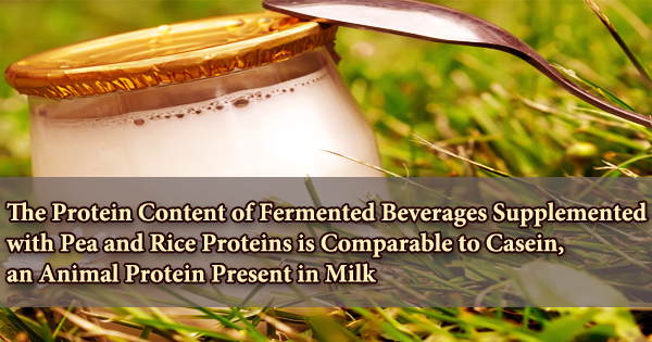 The Protein Content of Fermented Beverages Supplemented with Pea and Rice Proteins is Comparable to Casein, an Animal Protein Present in Milk