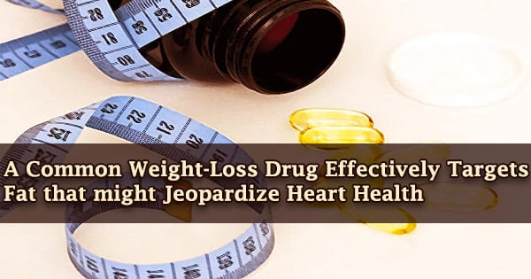 A Common Weight-Loss Drug Effectively Targets Fat that might Jeopardize Heart Health